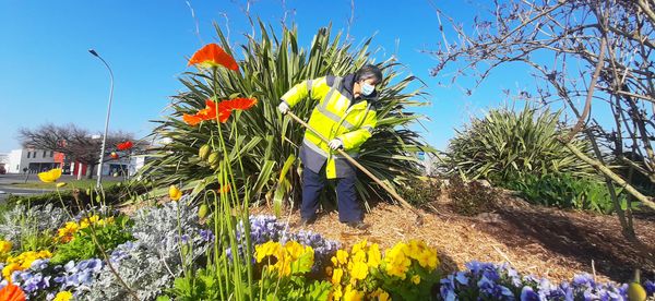 Aménagement paysager du rond point de l’ entrée de ville