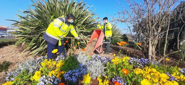 Aménagement paysager du rond point de l’ entrée de ville